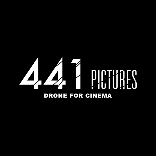 Logo de 441 Pictures